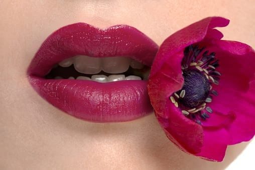 dark pink lips and flower close-up